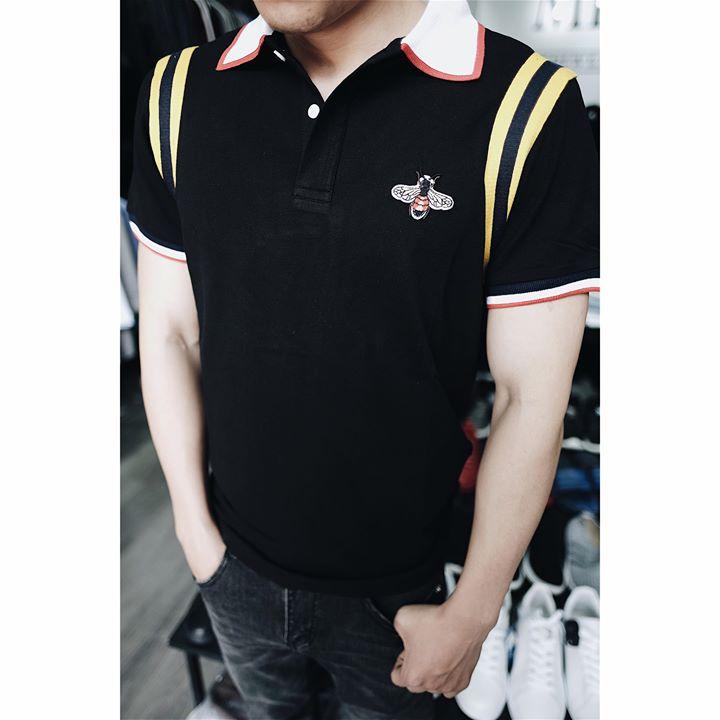 áo polo nam
